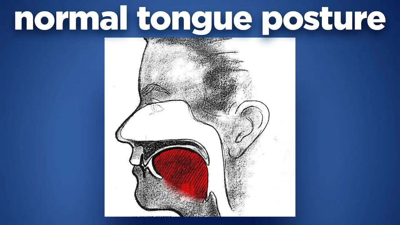 Mewing for Beginners Pt. 1 (How Tongue Posture Works) 
